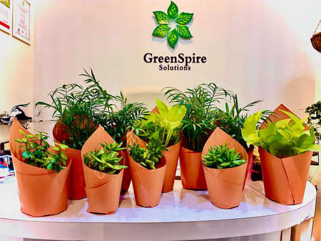 Corporate Green Gifting