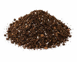 Soils