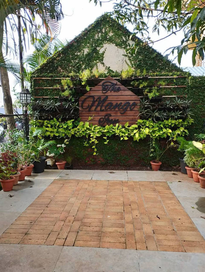 Terrace Garden Setup