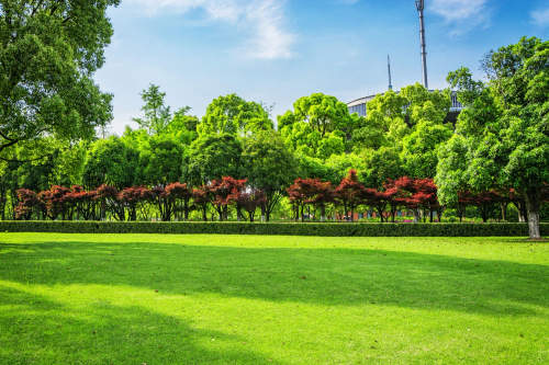 Sustainable farm landscape