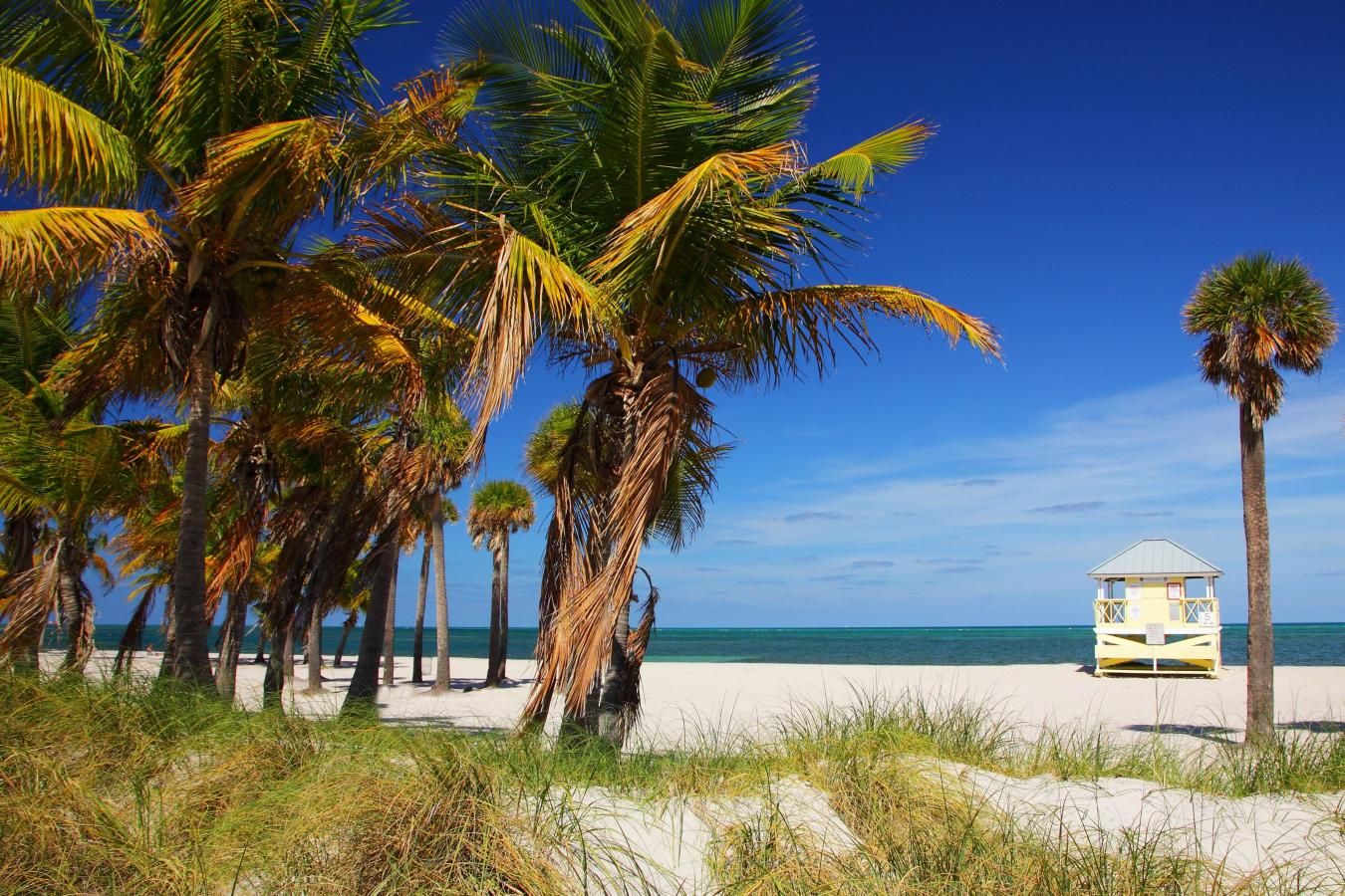 Crandon Park Beach