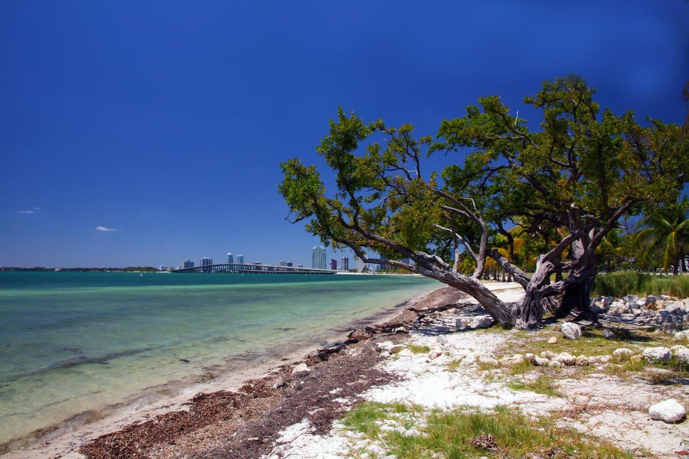 Hobie Beach Windsurfer Beach In Key Biscayne Fl