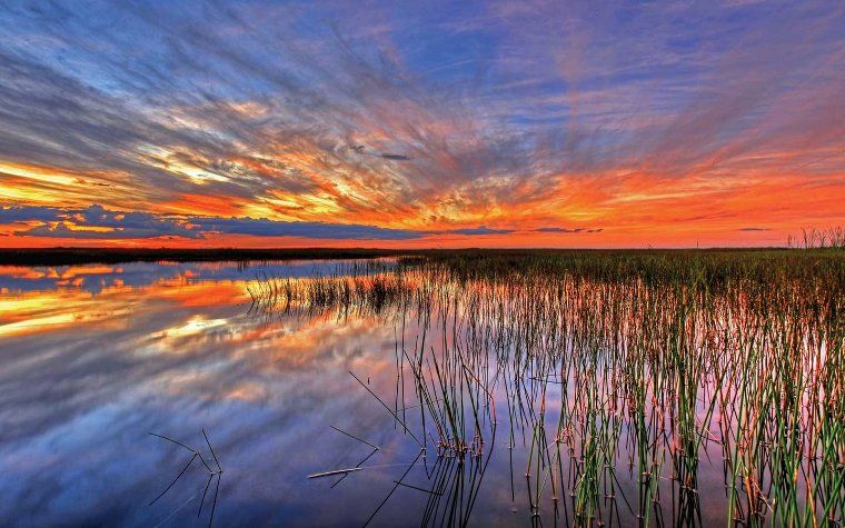 Everglades National Park