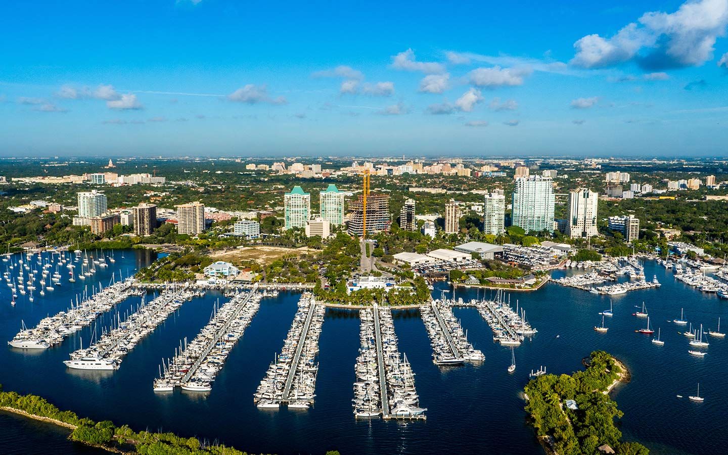 Fun and Funky Coconut Grove