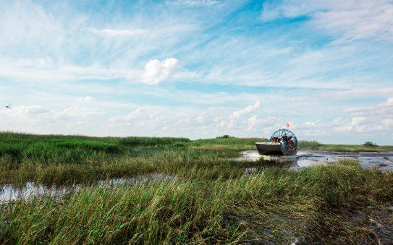 Experiência de Coopertown Airboat