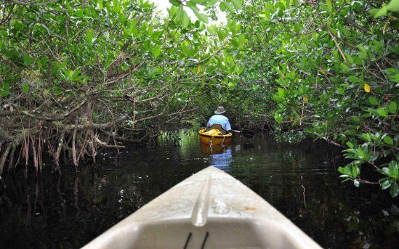 Caiaque em Everglades National Park