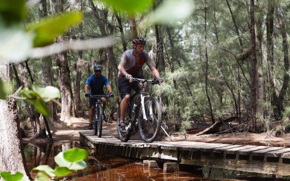 Mountain biking on the trail