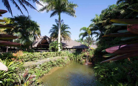 Schnebly Redland's Winery & Brewery koi pond and tiki