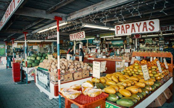 Variedad de frutas exhibidas en Robert Is Here