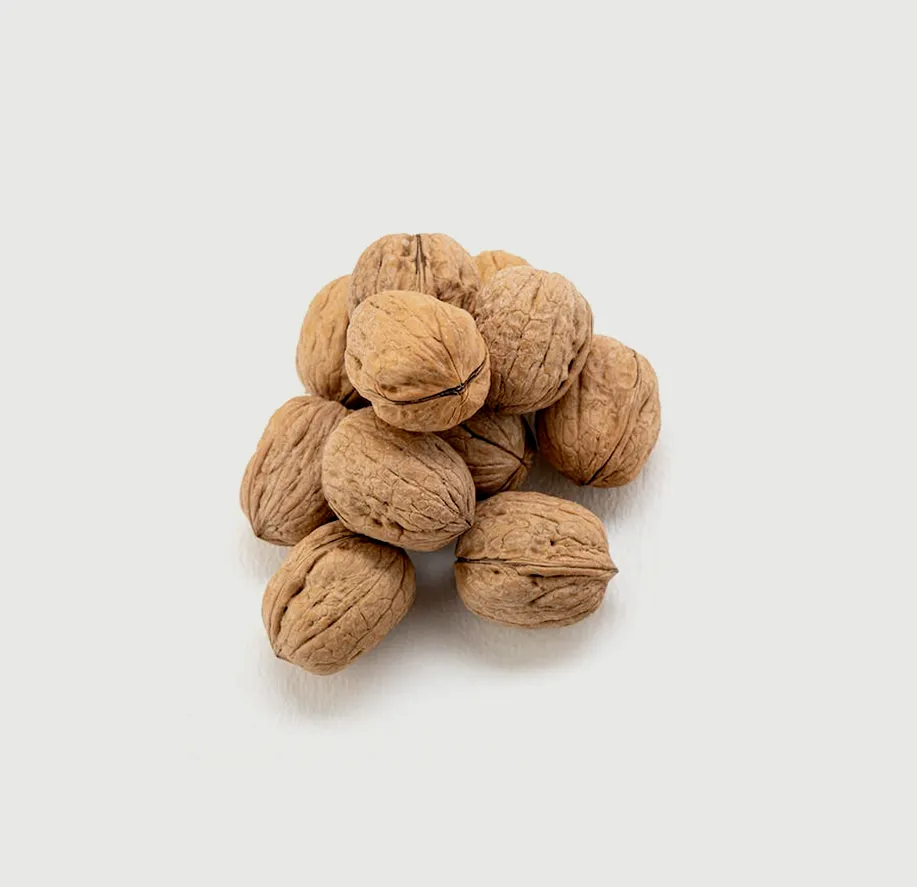 Walnut Seed Oil