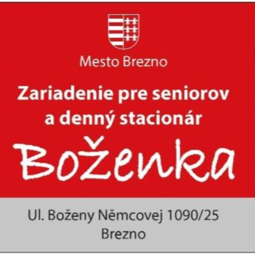 Dobrovoľnícky projekt Hrajú sa mladí aj starí