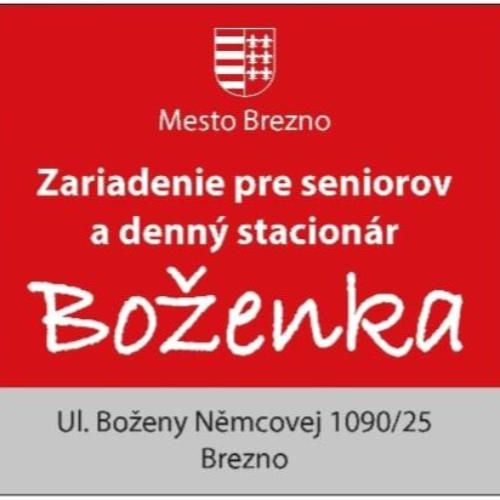 Dobrovoľnícky projekt Radosť zo života