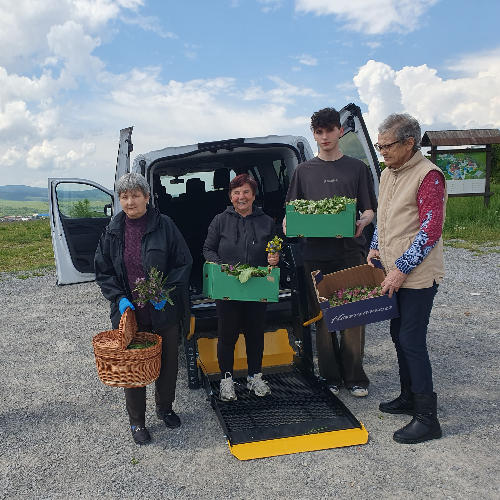 Dobrovoľnícky projekt Dom Charitas sv. Františka z Assisi Trstená