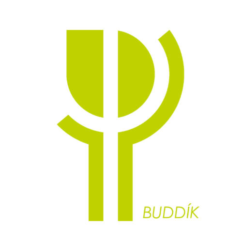 Dobrovoľnícky projekt Projekt BUDDIK