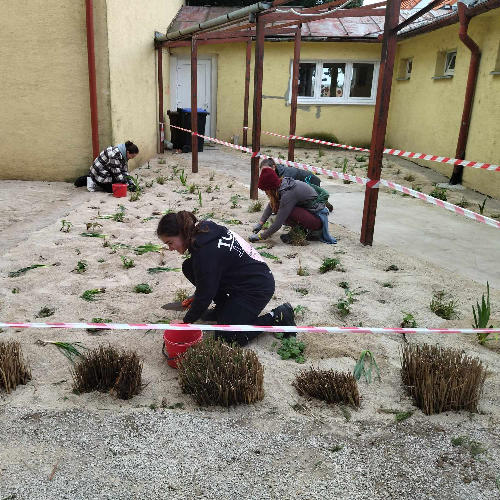 Dobrovoľnícky projekt Realizácia revitalizácie areálu pre ZŠ Ščasného v Dražovciach (20.5.)