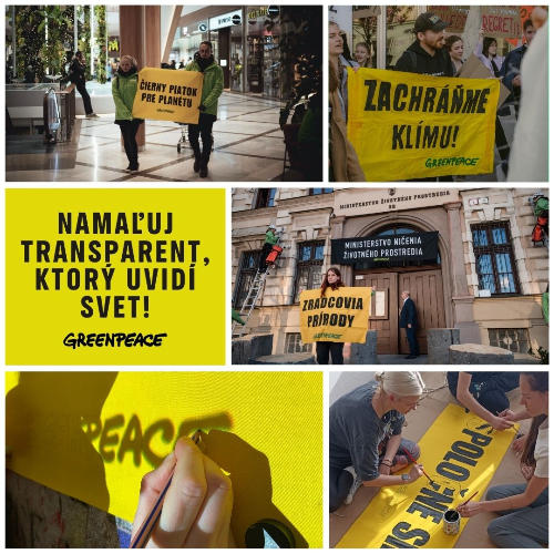 Dobrovoľnícky projekt 🎨 Namaľuj transparent, ktorý uvidí svet!