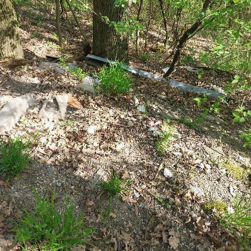 Dobrovoľnícky projekt Úprava areálu Domova jesene života 