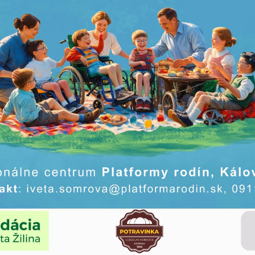 Dobrovoľnícky projekt Pomoc na podujatí Piknik
