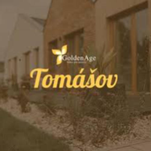 Dobrovoľnícky projekt Úprava exteriéru, Trávenie času so seniormi v zariadení, Pracovná činnosť so seniormi
