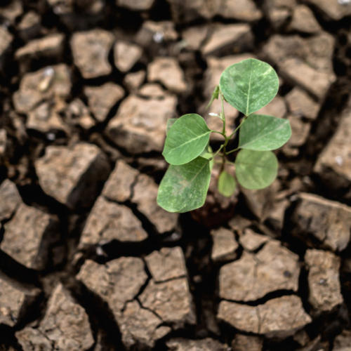 Príležitosť Program Shine hľadá inovátorov, ktorí riešia klimatickú krízu a zlepšovanie zdravia