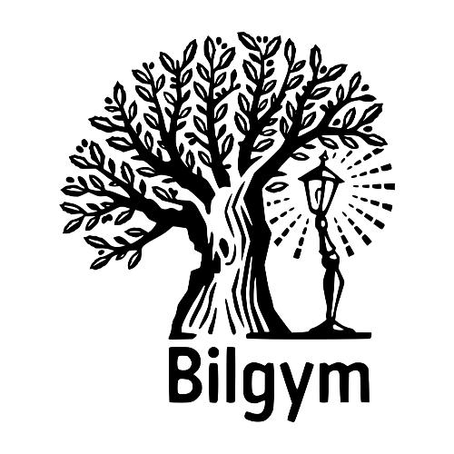 Bilingválne gymnázium C. S. Lewisa, Haanova 28, Bratislava