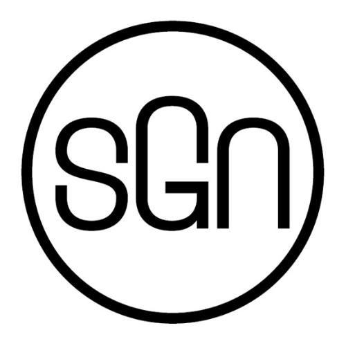 Organizácia Slovak Global Network logo