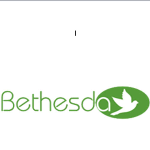 Bethesda Senior n.o.