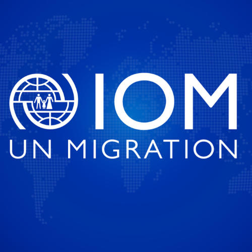 Medzinárodná organizácia pre migráciu (IOM)