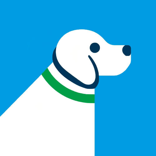 DogMeet s. r. o.