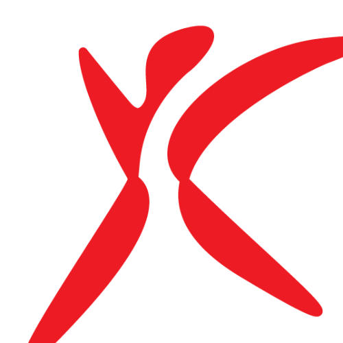 Organizácia Young Crew Slovakia logo