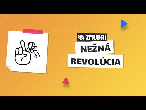 Príležitosť Čo sa NAOZAJ stalo 17. Novembra 1989?!