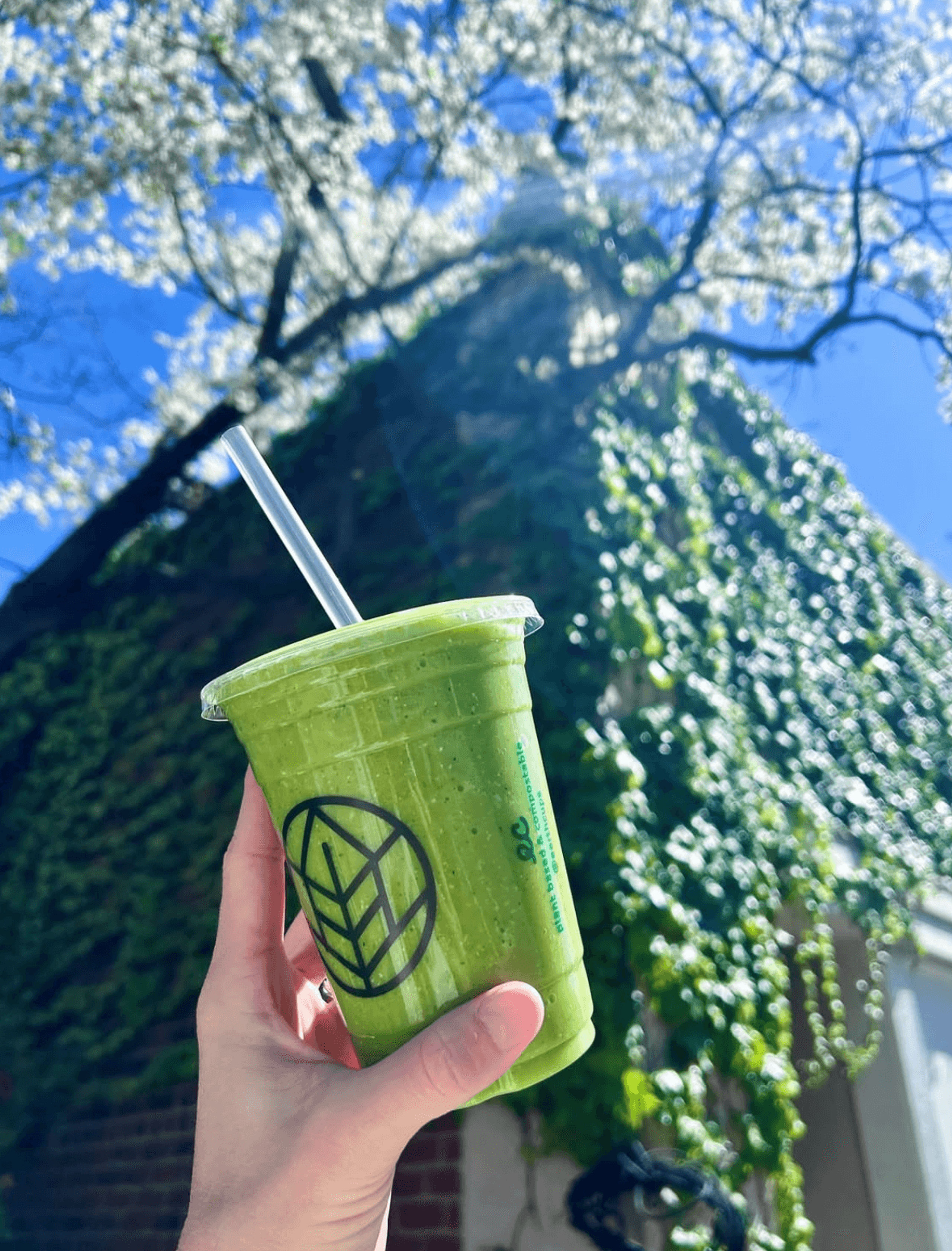 Earth Cups custom cup outdoors among greenery