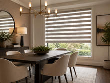 Vision (Zebra) Blinds