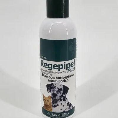 REGEPIPEL PLUS SHAMPOO ANTISEPTICO Y ANTIMICOTICO 150 ML
