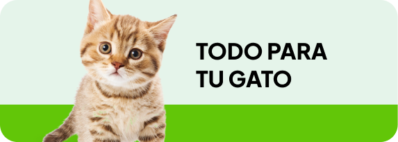 Todo para tu perro - Solvet Chile