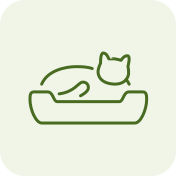 Camas Gato Solvet
