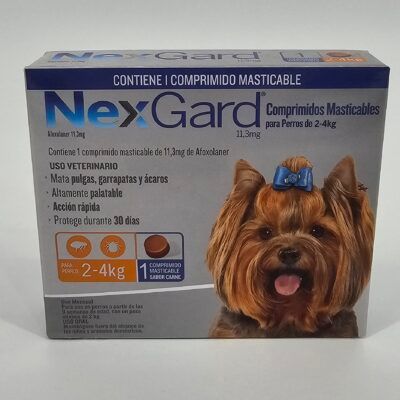 NEXGARD MASTICABLE PERRO 2–4KG