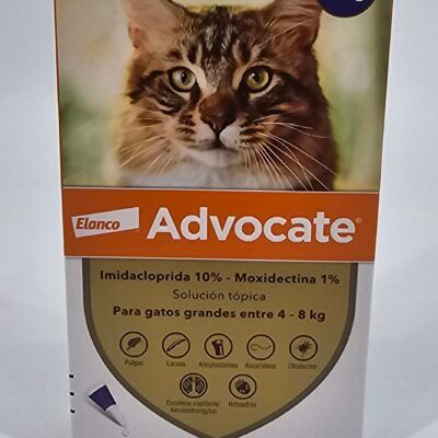 ADVOCATE PIPETA GATO 4–8KG