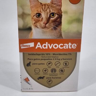ADVOCATE PIPETA GATO 0–4KG