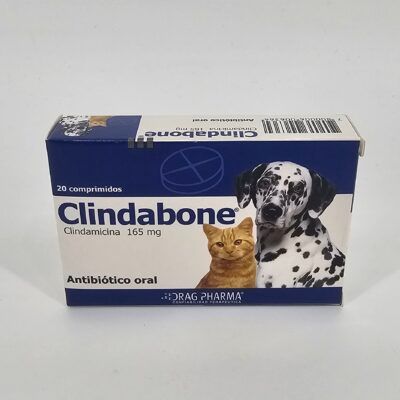 CLINDABONE 165 MG X 20 (CPR)