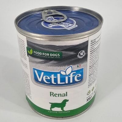 VET LIFE PERRO LATA RENAL 300 GR
