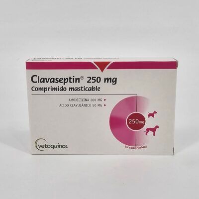 CLAVASEPTIN 250 MG X 10 (CPR)
