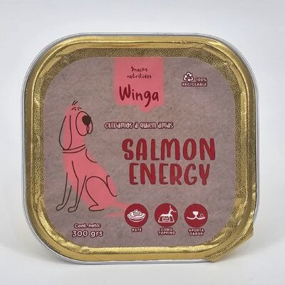 WINGA PERRO SALMON ENERGY 300 GR