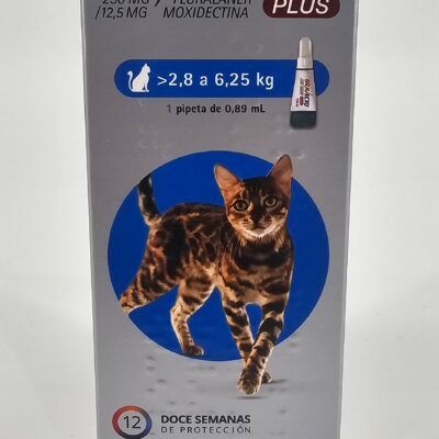 BRAVECTO PLUS GATOS 2.8 - 6.25 KG