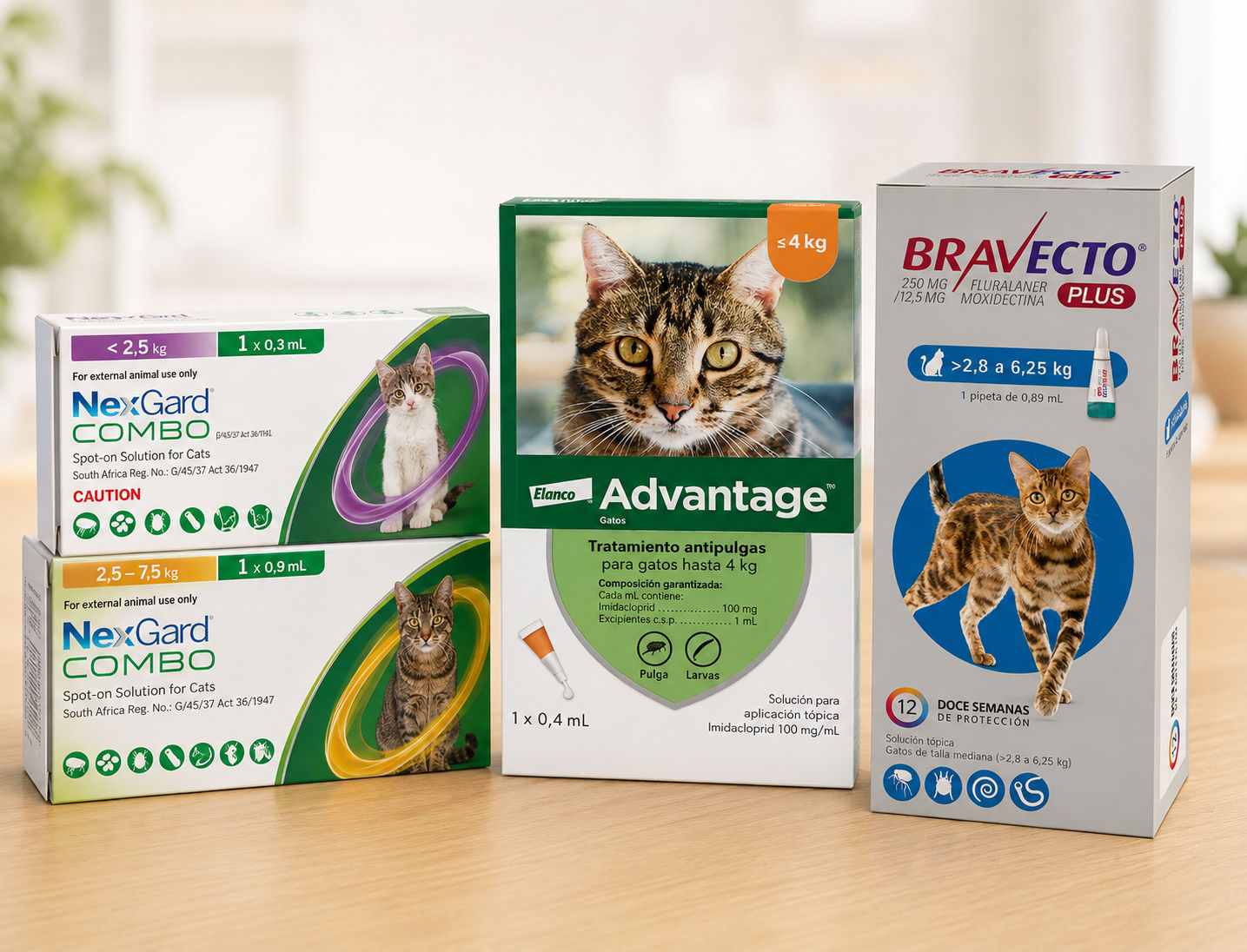 Categoria Farmacia Gato