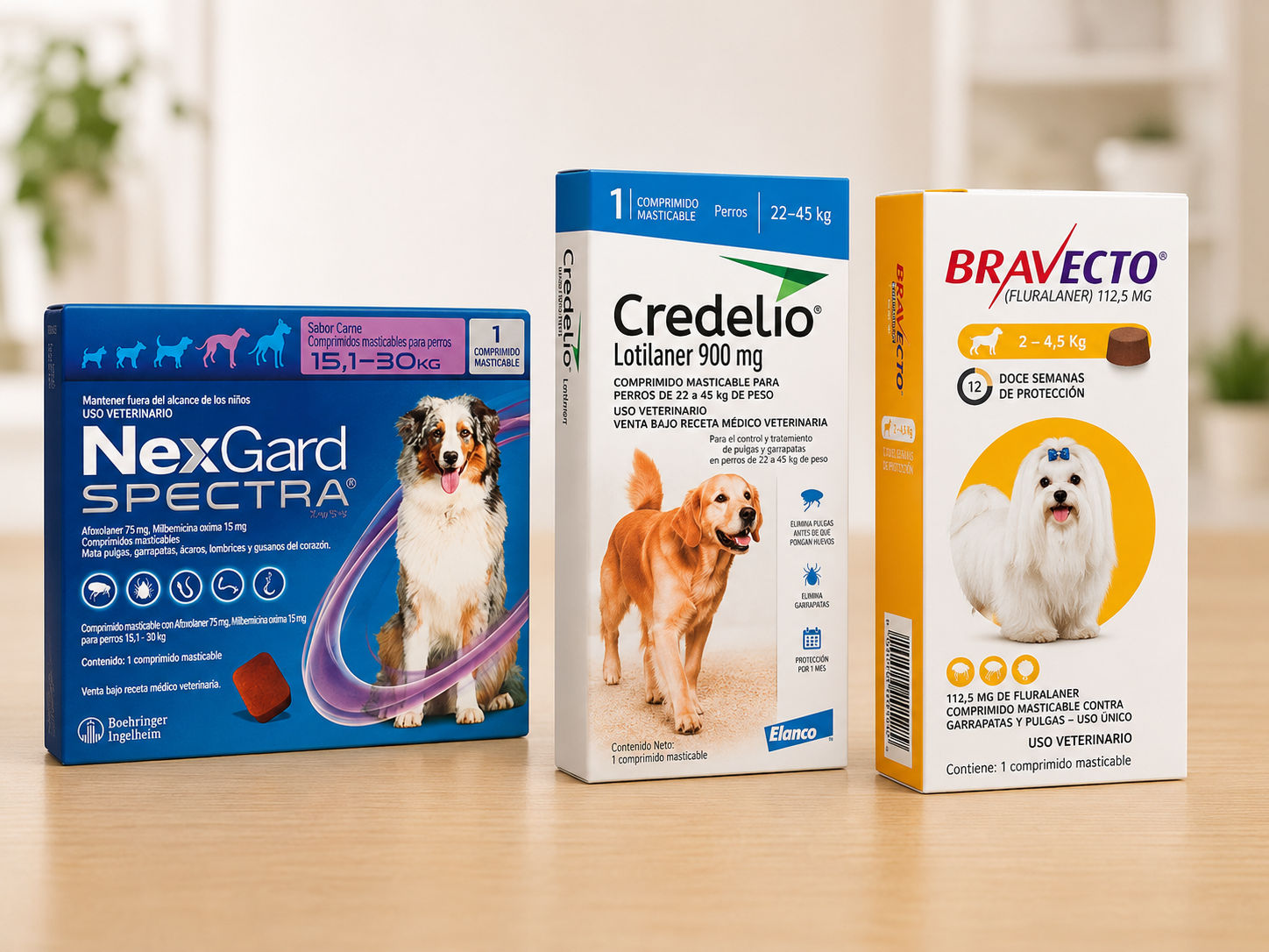 Categoria Farmacia Perro