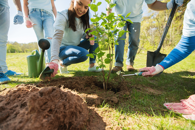 Menschen, die zusammen einen Baum pflanzen