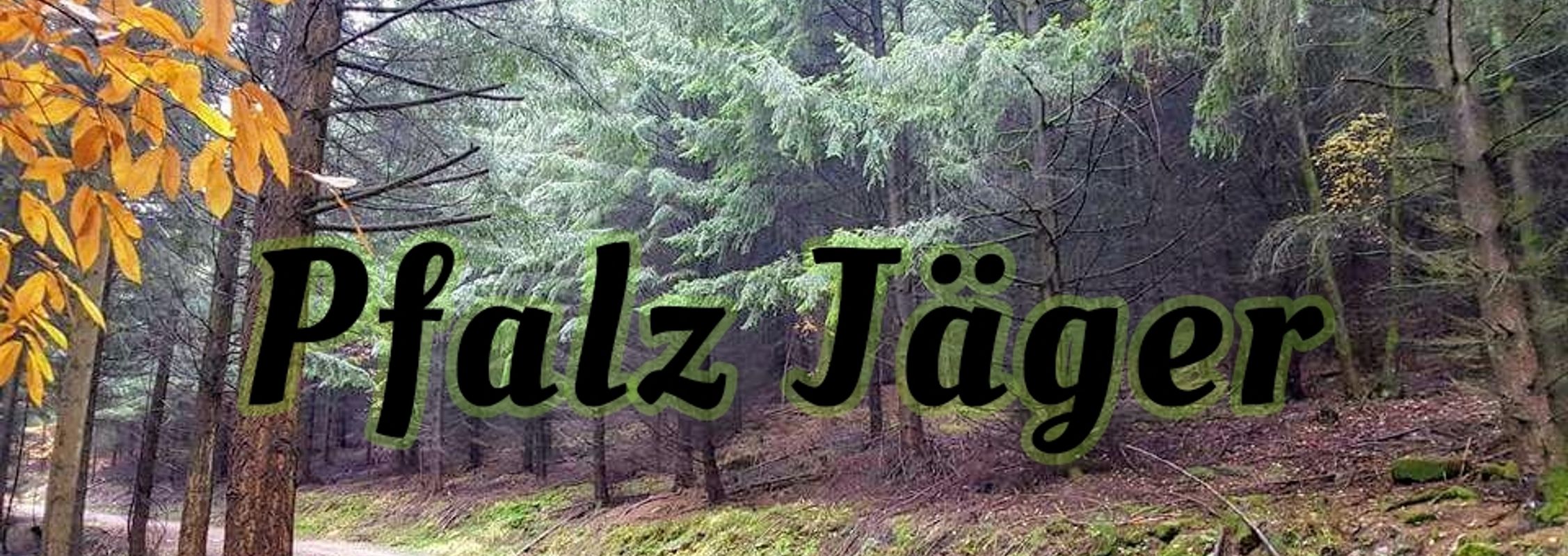 Pfalz Jäger  Cover