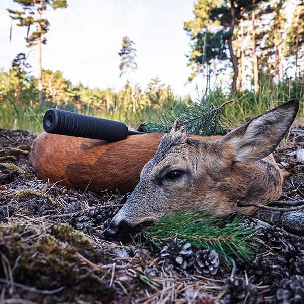 Schalldämpfer für die Jagd