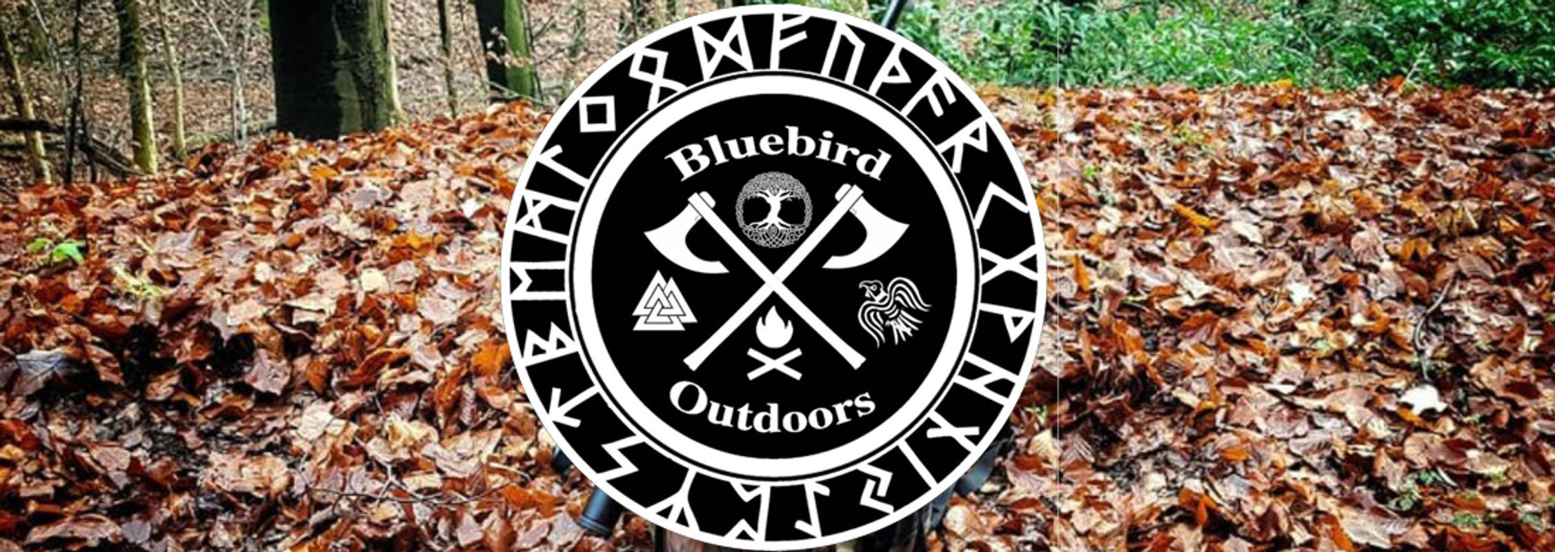 Bluebird Outdoors Cover